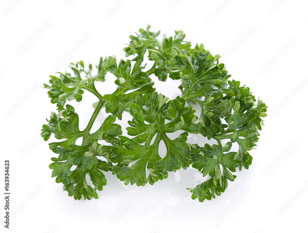 Obraz premium parsley isolated on a white background