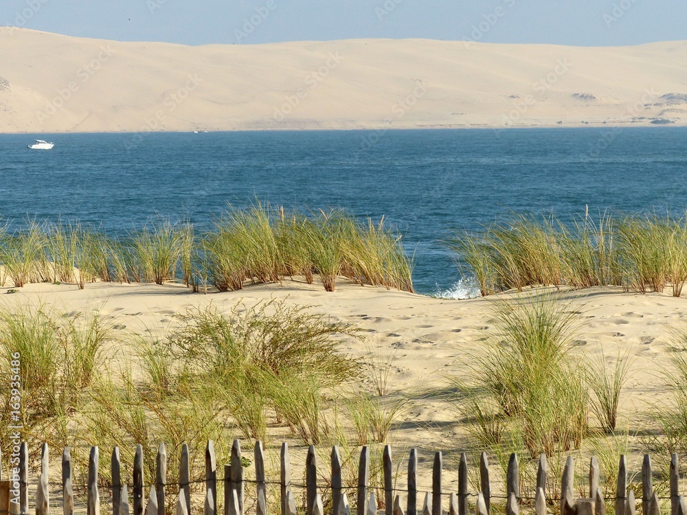 Dune du Pilat vue du Cap Ferret Dune du Pilat vue du Cap Ferret