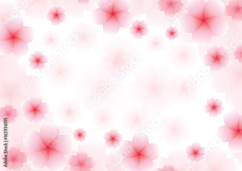 Cherry blossom flowers background. Sakura pink flowers background.