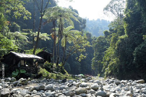 Regenwald bei Bukit Lawang, Sumatra