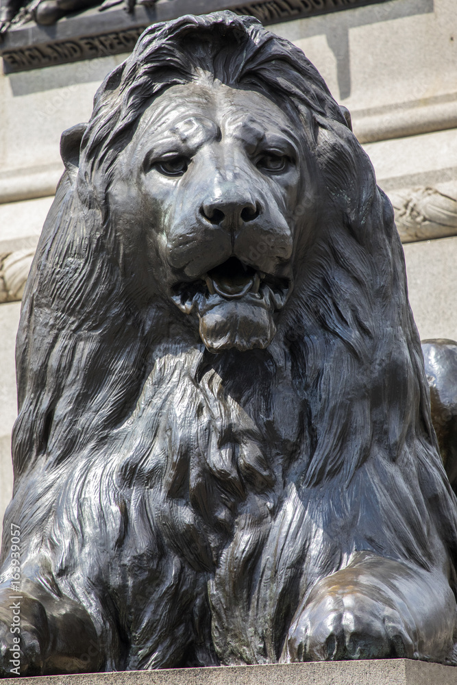 Trafalgar Square Lion in London