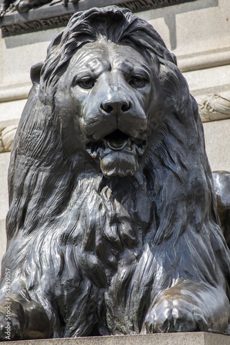 Trafalgar Square Lion in London