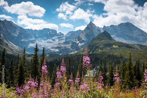 Tatra Mountains national park in Zakopane