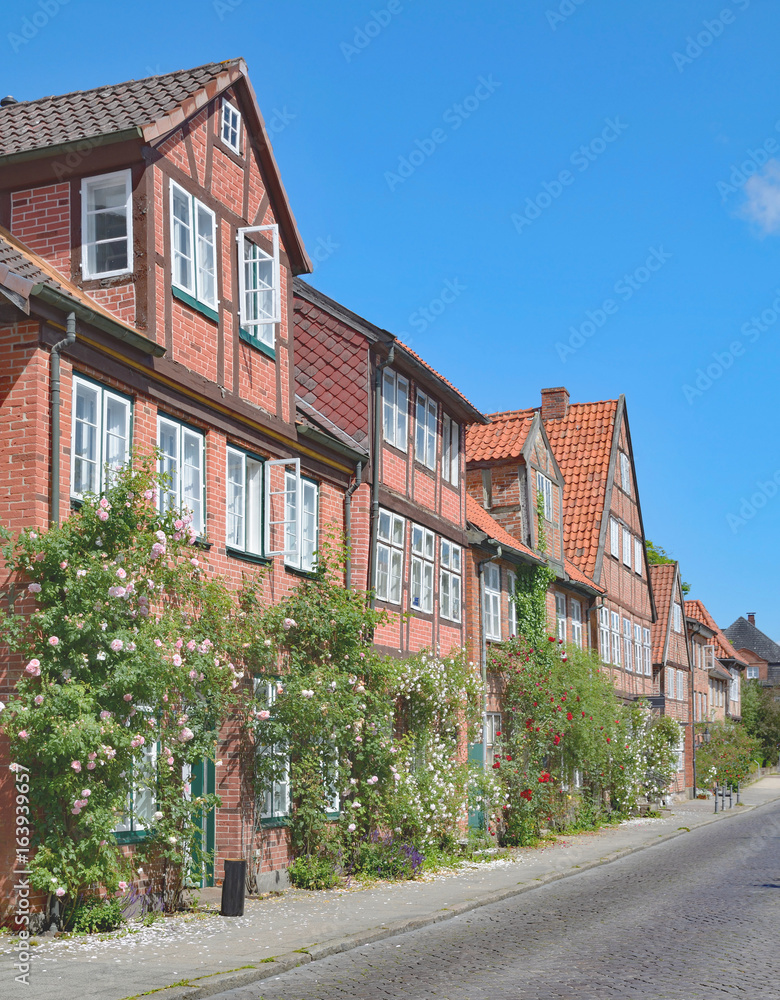 Wohnidylle in Eutin in der Holsteinischen Schweiz,Schleswig-Holstein,Deutschland