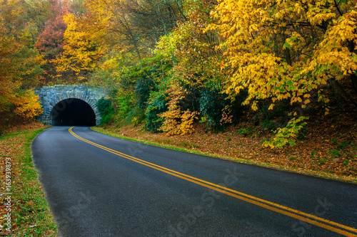 Fall leaves along the Blue Ridge Parkway near Asheville North Carolina
