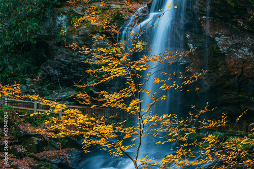 Fall leaves in front of Dry Falls in the Blue Ridge Mountains near Asheville North Carolina