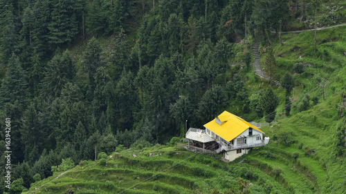 Photography House with Yellow Roof in Himalayan Hills surrounded by Pines And Cedars