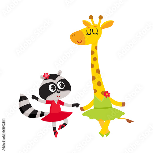 Cute little giraffe and raccoon, puppy and kitten characters dancing ballet together, cartoon vector illustration isolated on white background. Little raccoon and giraffe ballet dancers, ballerinas