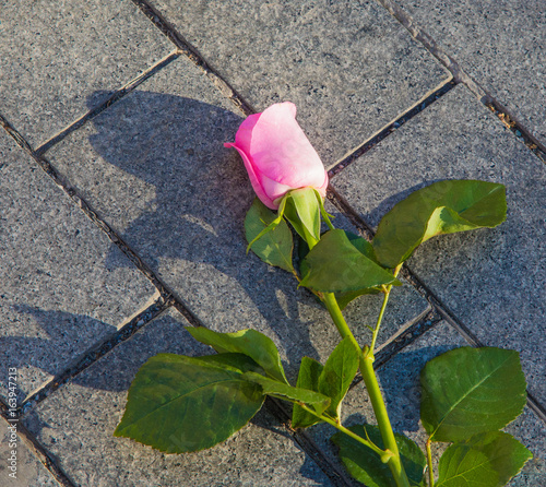 Love's labour, lost