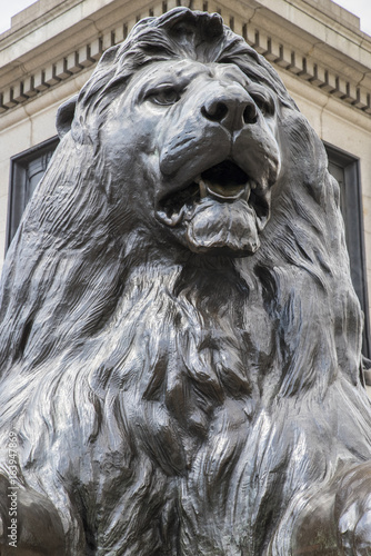 Trafalgar Square Lion in London