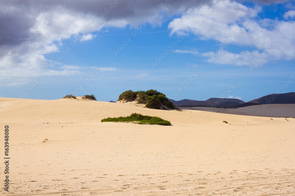 Bright sand and sky at Atlantic ocean background. Sahara dunes, beauty arid background. Bright sand and sky at Atlantic ocean background. Sahara dunes, beauty arid background.