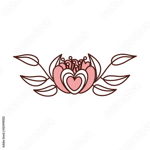 elegant flower decorative icon vector illustration design