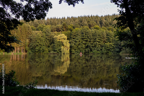Waldsee im Sonnenuntergang