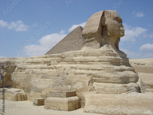 Le sphynx