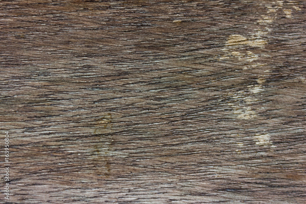 Fototapeta premium Texture of wood