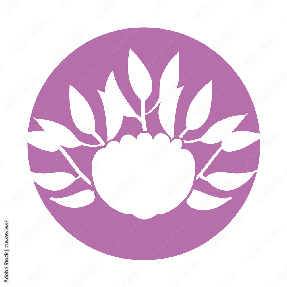 elegant flower decorative icon vector illustration design elegant flower decorative icon vector illustration design