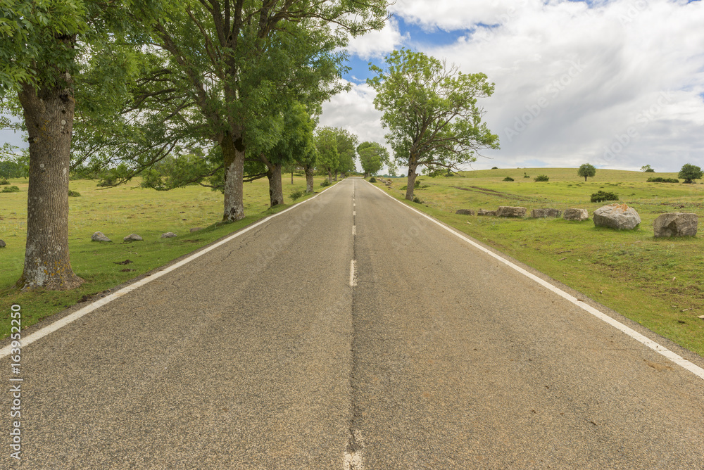Natural park of Urbasa and andia in Navarra