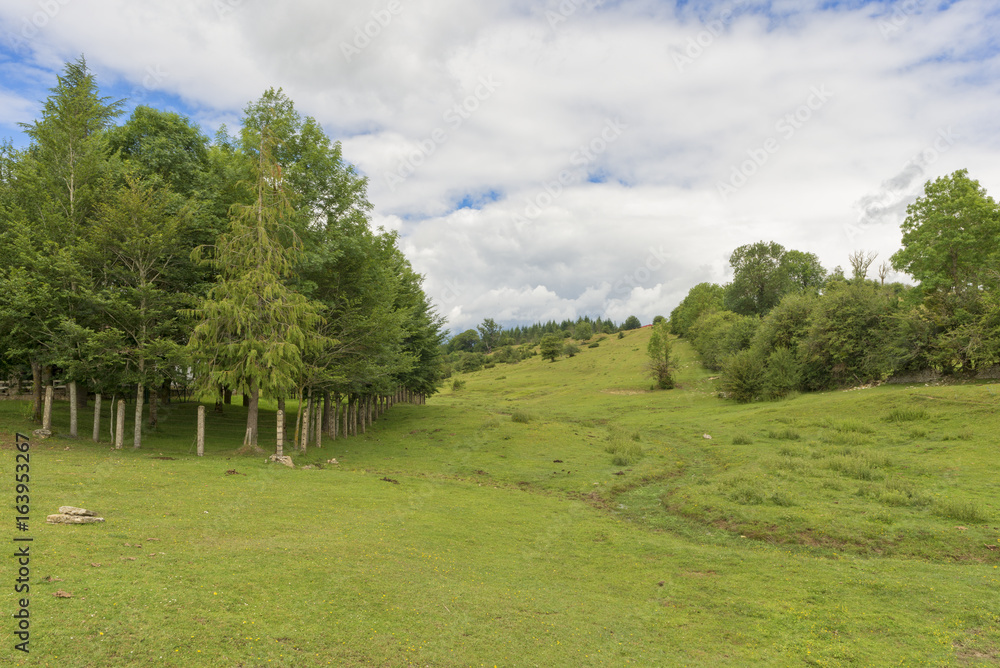Natural park of Urbasa and andia in Navarra