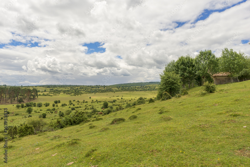 Natural park of Urbasa and andia in Navarra