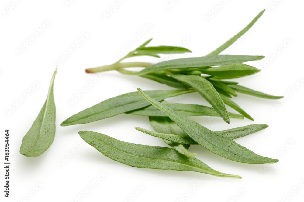 Fototapeta premium Thyme
