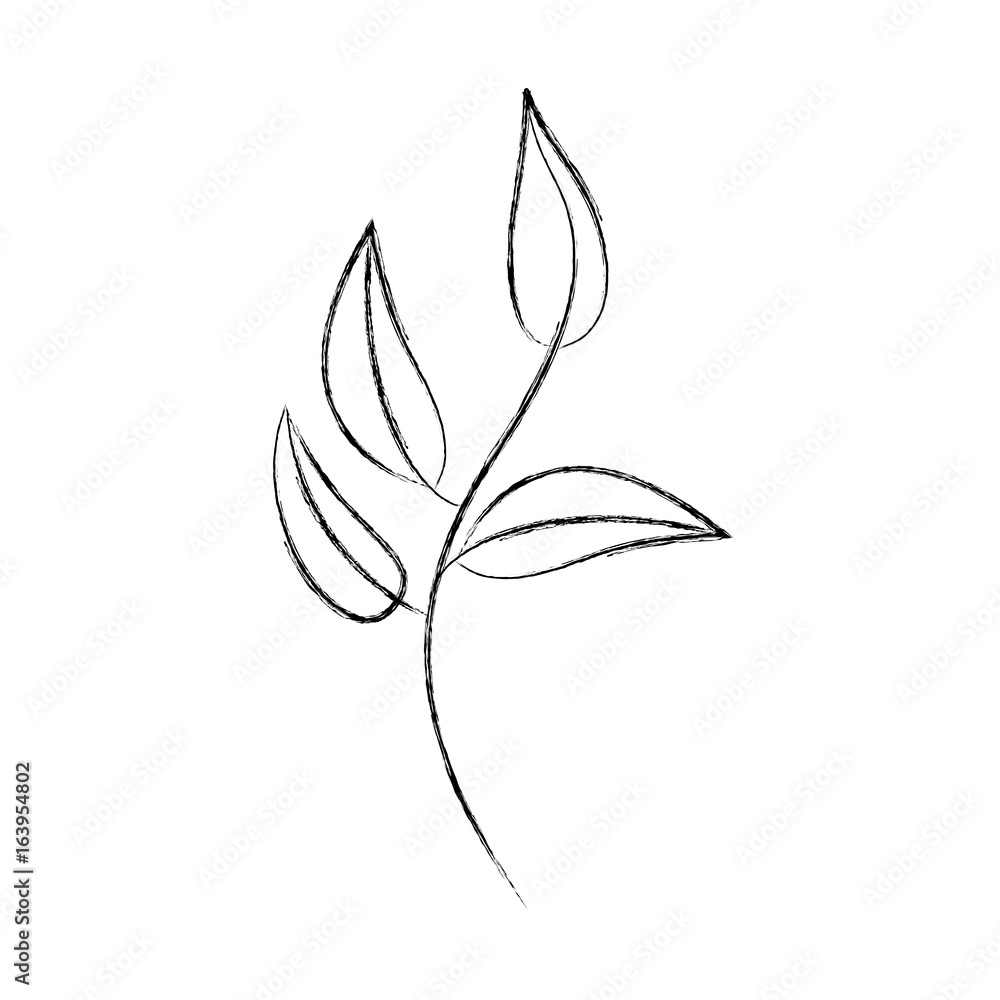 leaf plant decorative icon vector illustration design leaf plant decorative icon vector illustration design