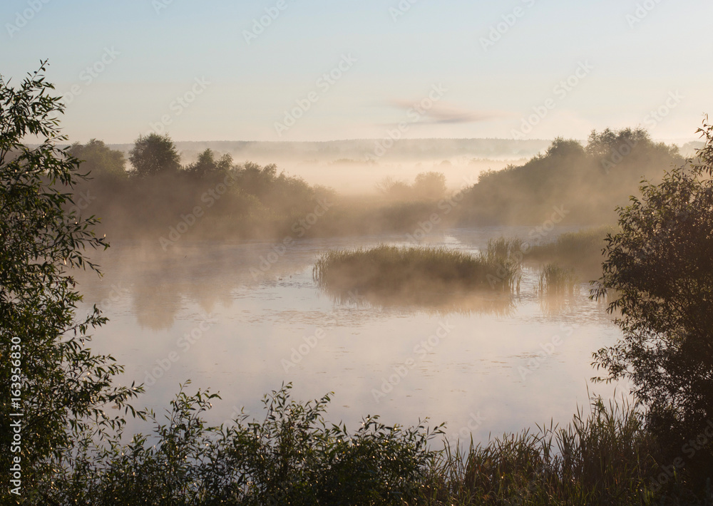 summer landscape with fog and lake summer landscape with fog and lake