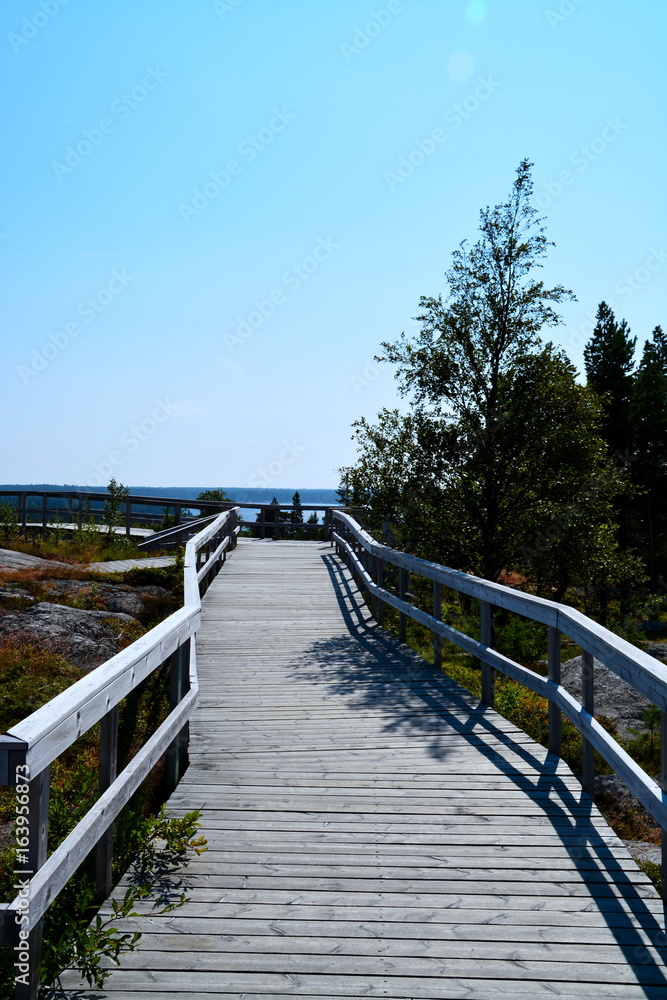 A wooden path A wooden path
