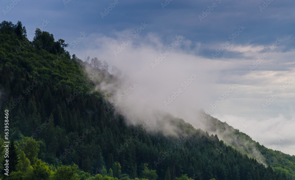 Ukrainian carpathian mountaine landscape with fog