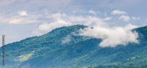 Ukrainian carpathian mountaine landscape with fog