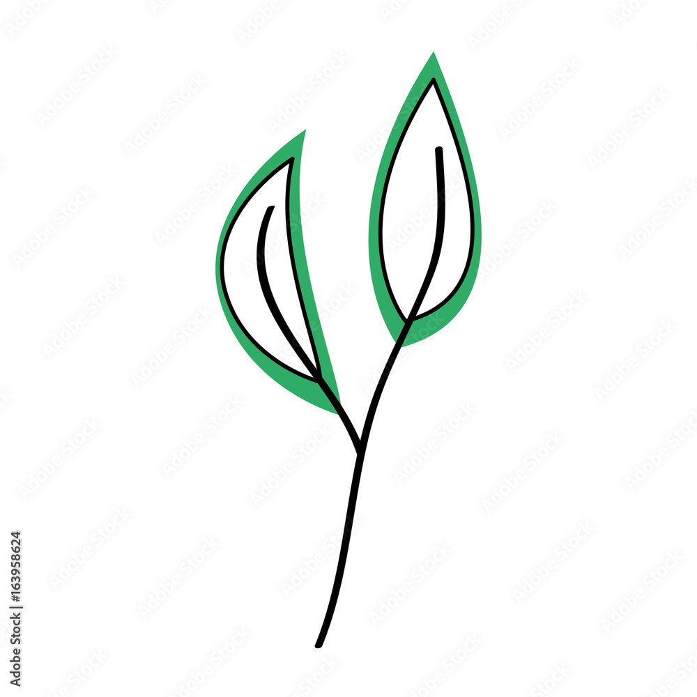 Obraz premium leaf plant decorative icon vector illustration design