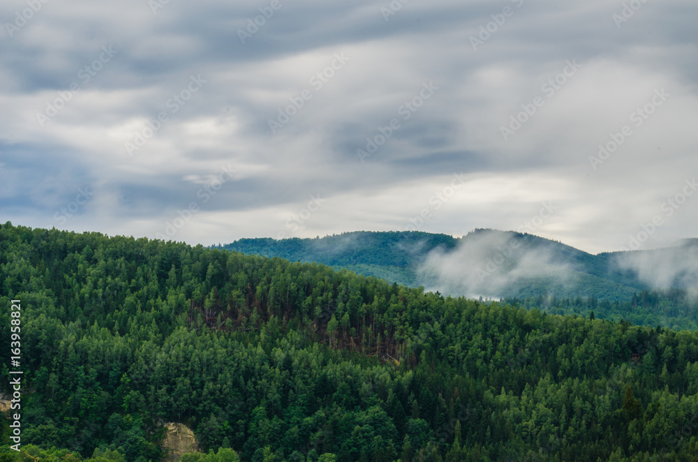 Ukrainian carpathian mountaine landscape with fog