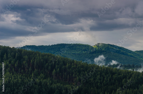 Ukrainian carpathian mountaine landscape with fog