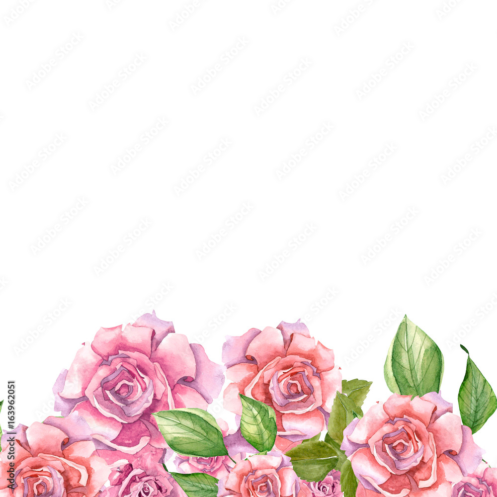 Pink Roses With Leaves Painted In Watercolor