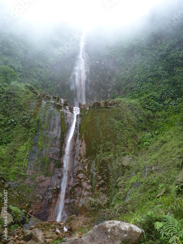 chute du carbet 