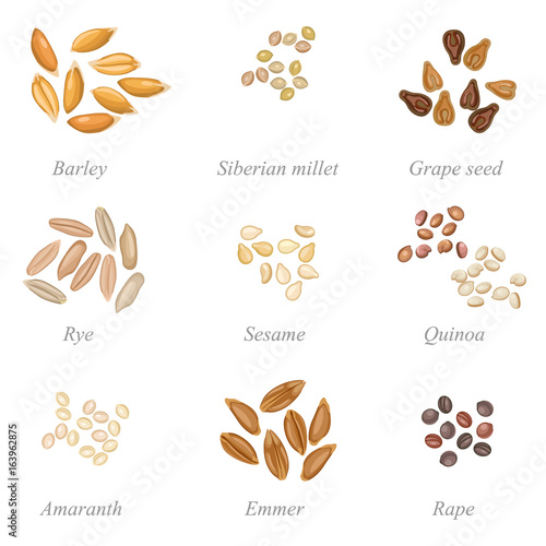 Icon set of cereal grains part two / Solid fill set of cereal grains and oilseeds
