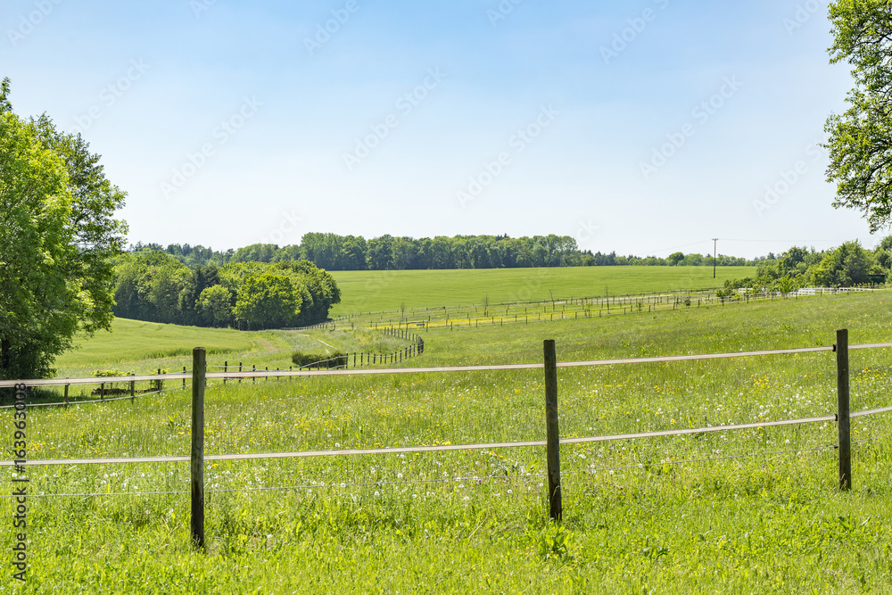 Fototapeta premium idyllic spring time scenery