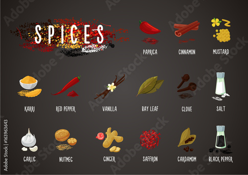 Spices and seasoning. Cooking ingredients. Culinary collection. Isolated icons set