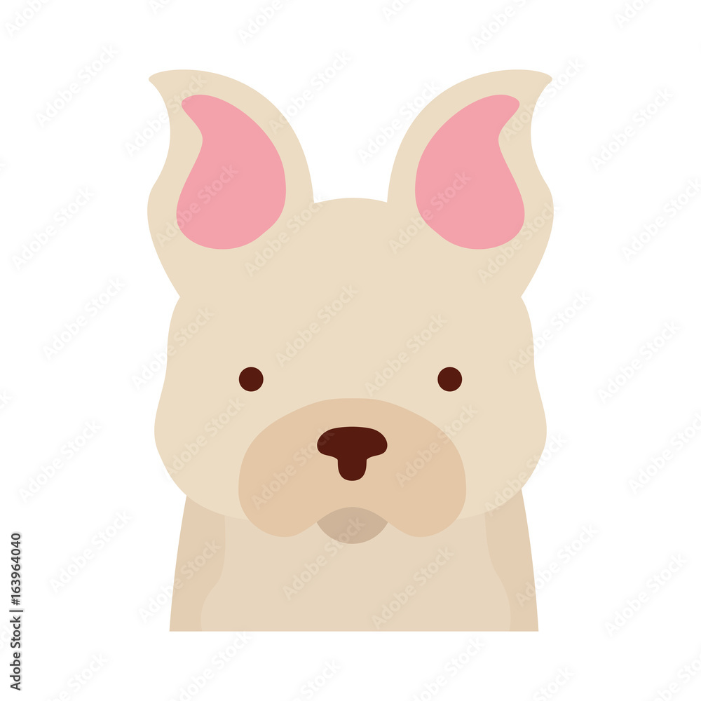 cute dog mascot icon vector illustration design cute dog mascot icon vector illustration design