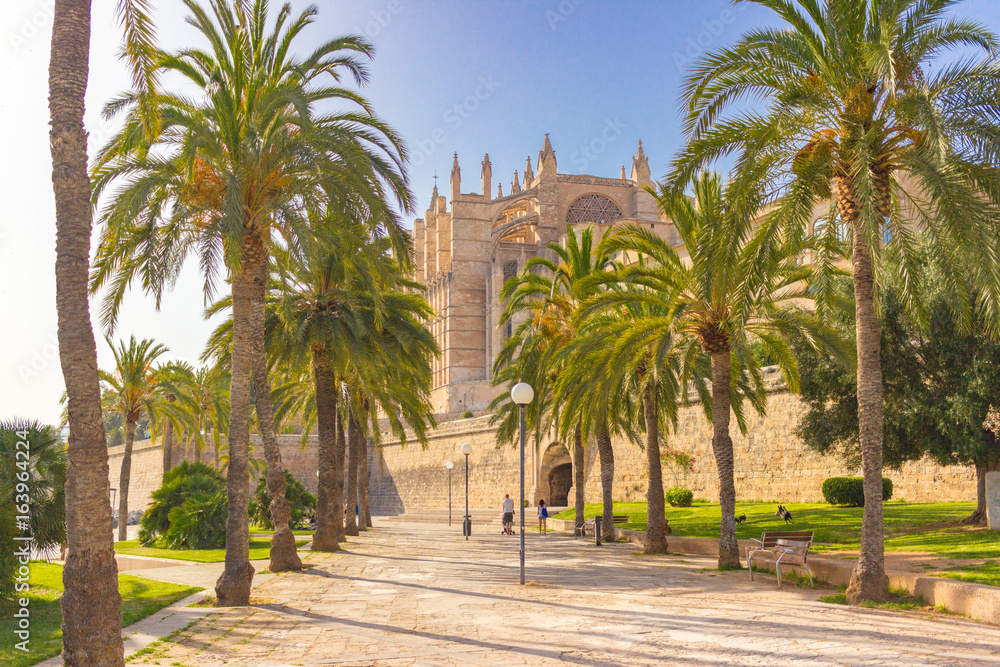 Monumentaler Blick auf Kathedrale von Mallorca