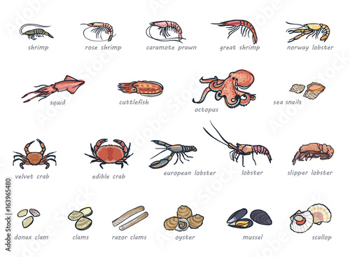 Icon set of marketable seafood hand drawn style