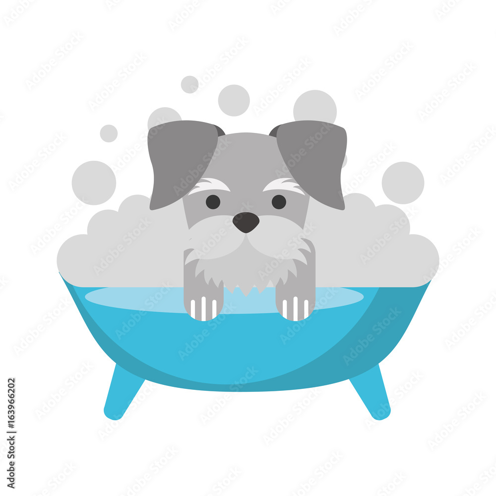 cute Dog bathing in the tub vector illustration design cute Dog bathing in the tub vector illustration design