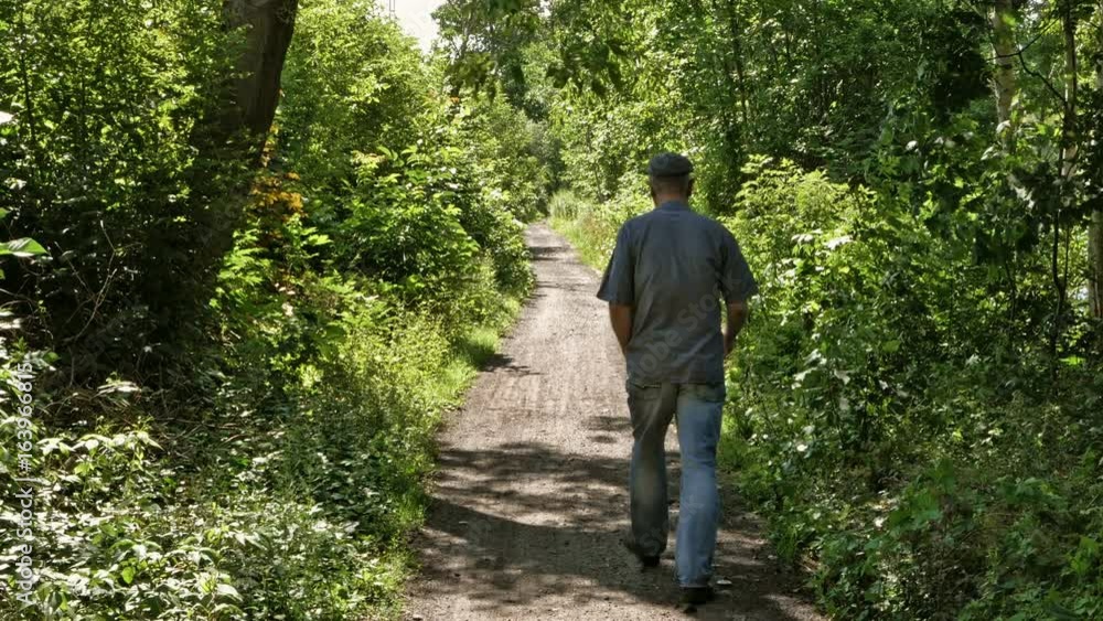 Mature man walks down a forest path on a sunny day Mature man walks down a forest path on a sunny day