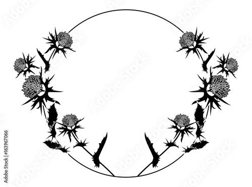 Round frame with thistle silhouette. Vector clip art. photo