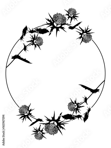 Round frame with thistle silhouette. Vector clip art.