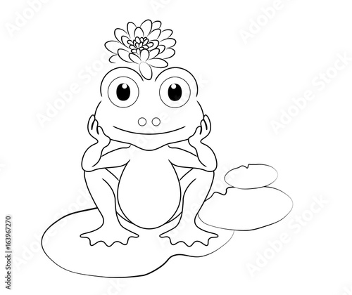crapaud nénuphar