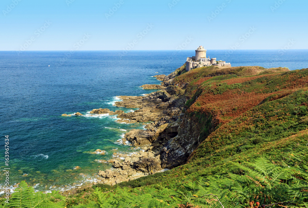 Côte rocheuse de Bretagne - obrazy, fototapety, plakaty 