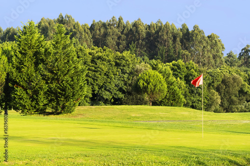 green in golf course photo