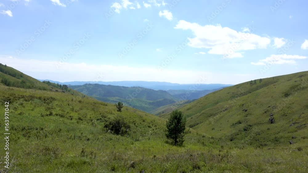 Yellow-green hill and sky with clouds. Wild grasses. Mixed grass. Summer sunny day. Beautiful summer landscape. FHD prores realtime video Yellow-green hill and sky with clouds. Wild grasses. Mixed grass. Summer sunny day. Beautiful summer landscape. FHD prores realtime video