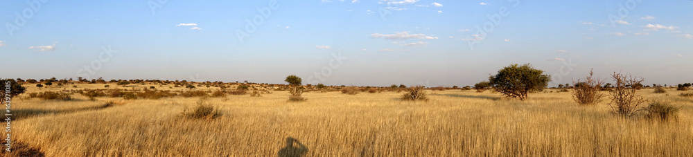 Jeepsafari in der Kalahari