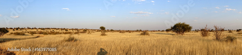 Foto Jeepsafari in der Kalahari